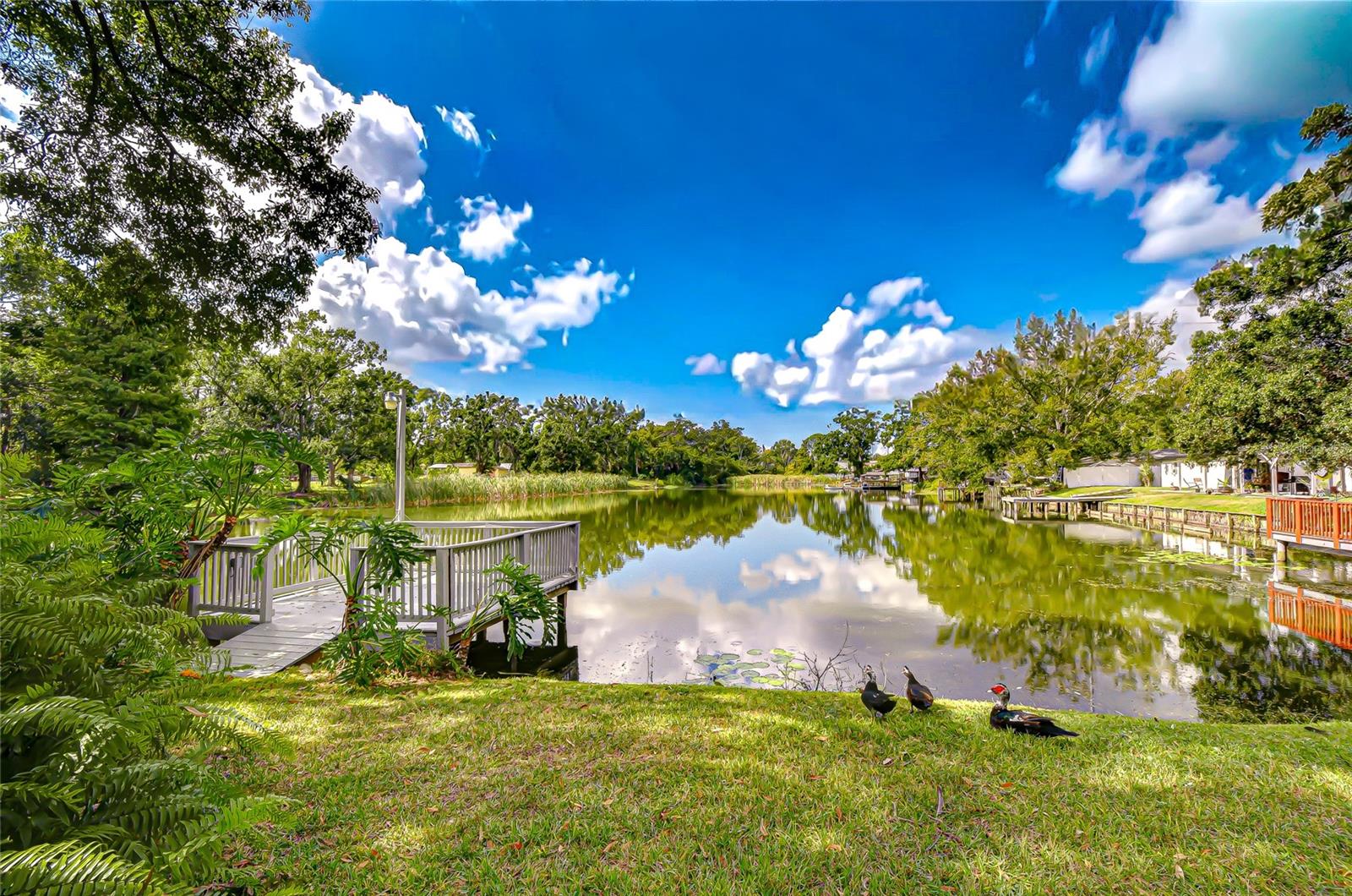 Image 31 of 76 For 8120 Albany Avenue