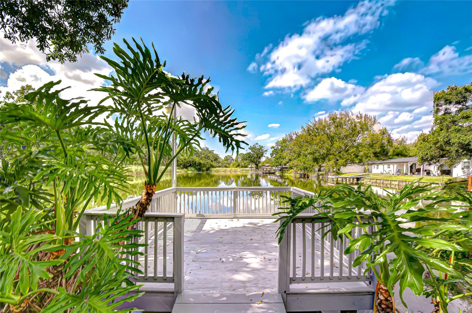 Image 34 of 76 For 8120 Albany Avenue