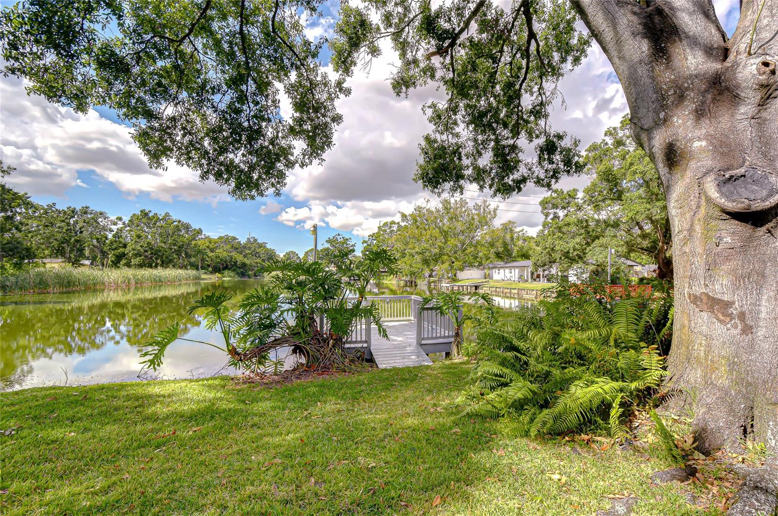 Image 36 of 76 For 8120 Albany Avenue