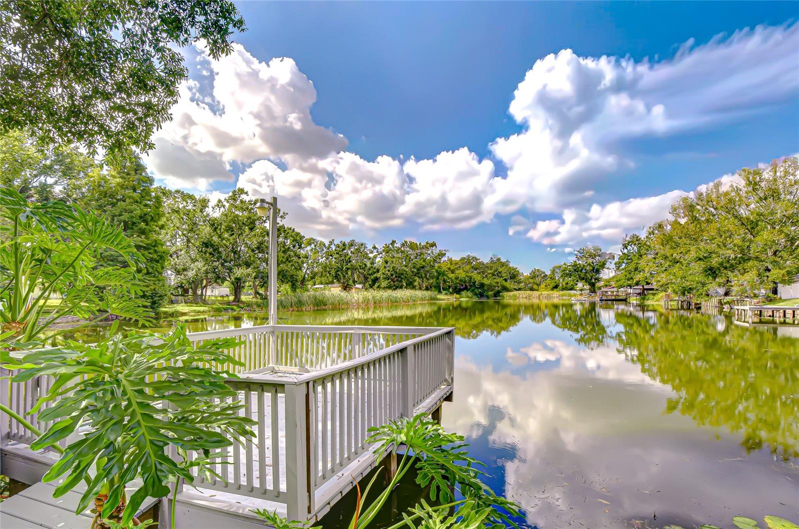 Image 39 of 76 For 8120 Albany Avenue