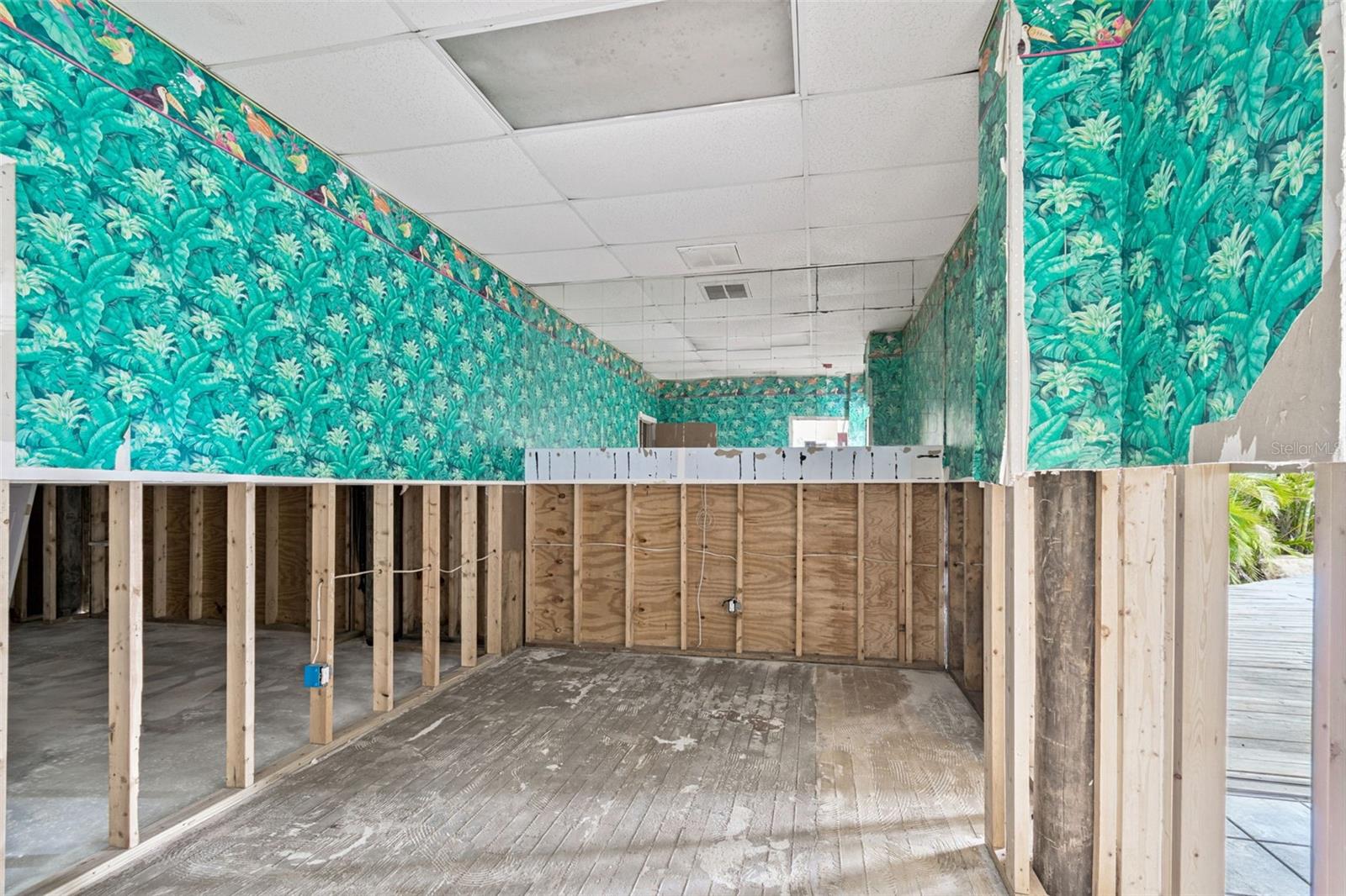 Listing photo id 41 for 121 Augusta Avenue