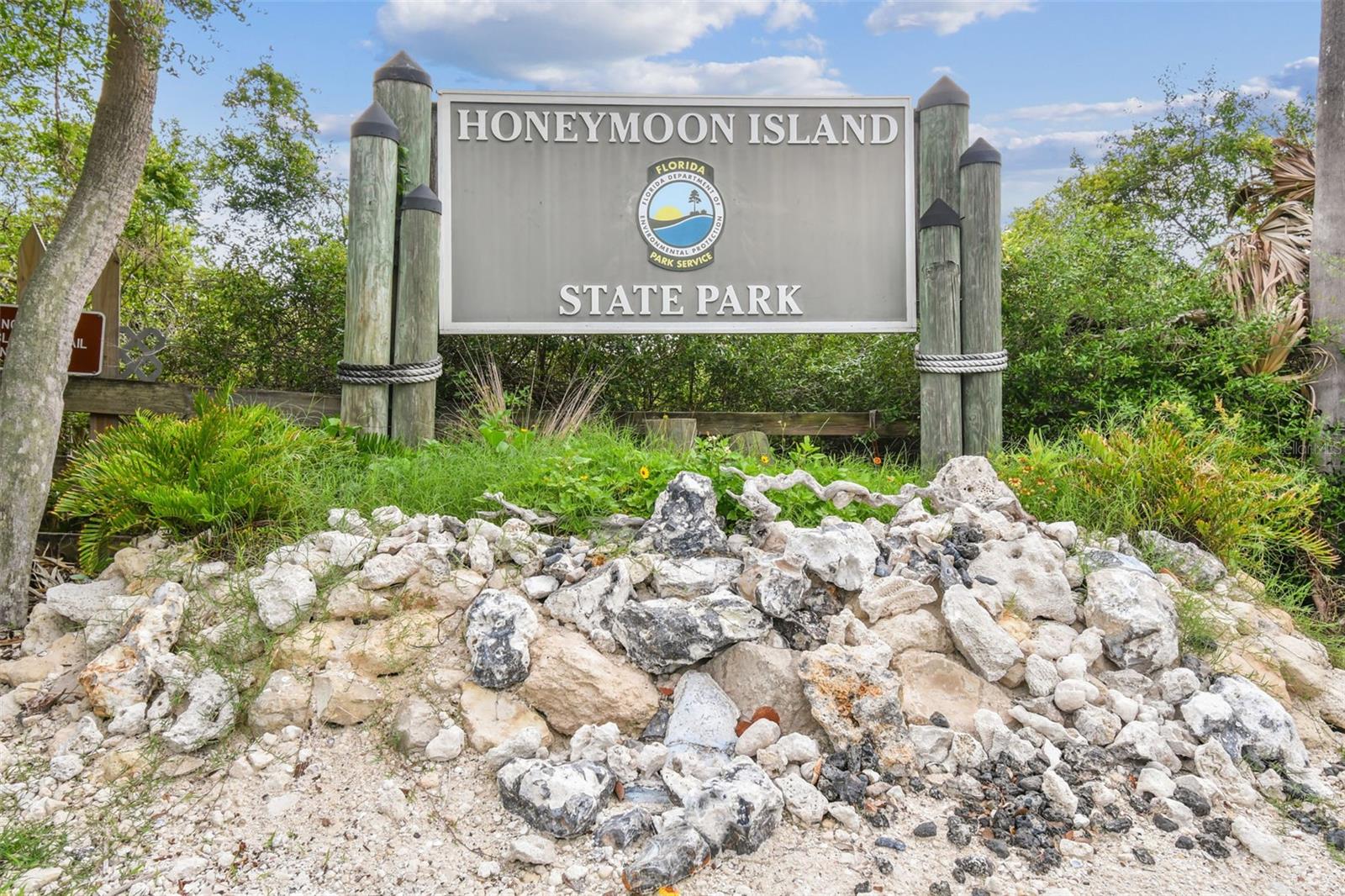 Listing photo id 83 for 121 Augusta Avenue