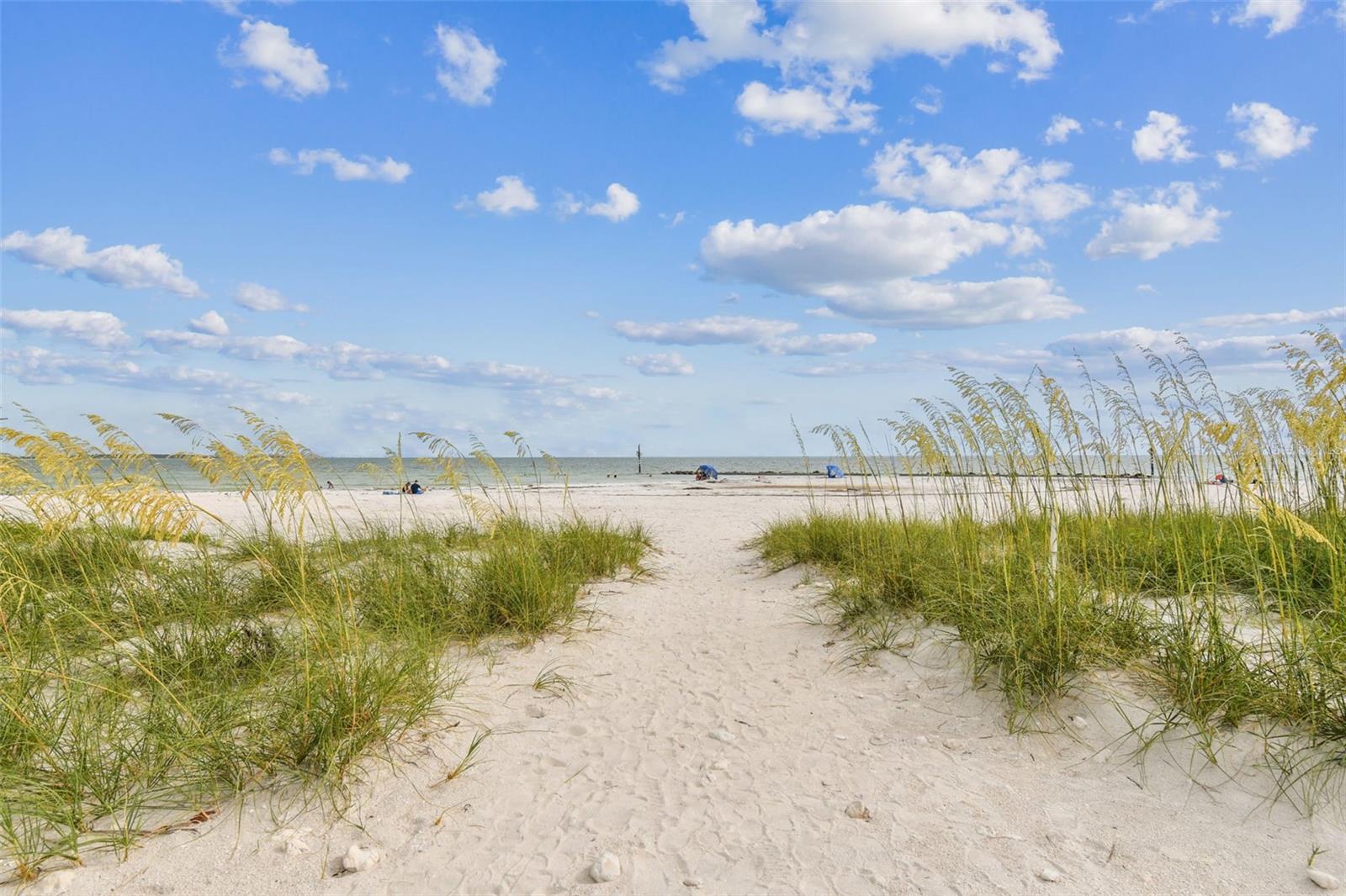 Listing photo id 84 for 121 Augusta Avenue