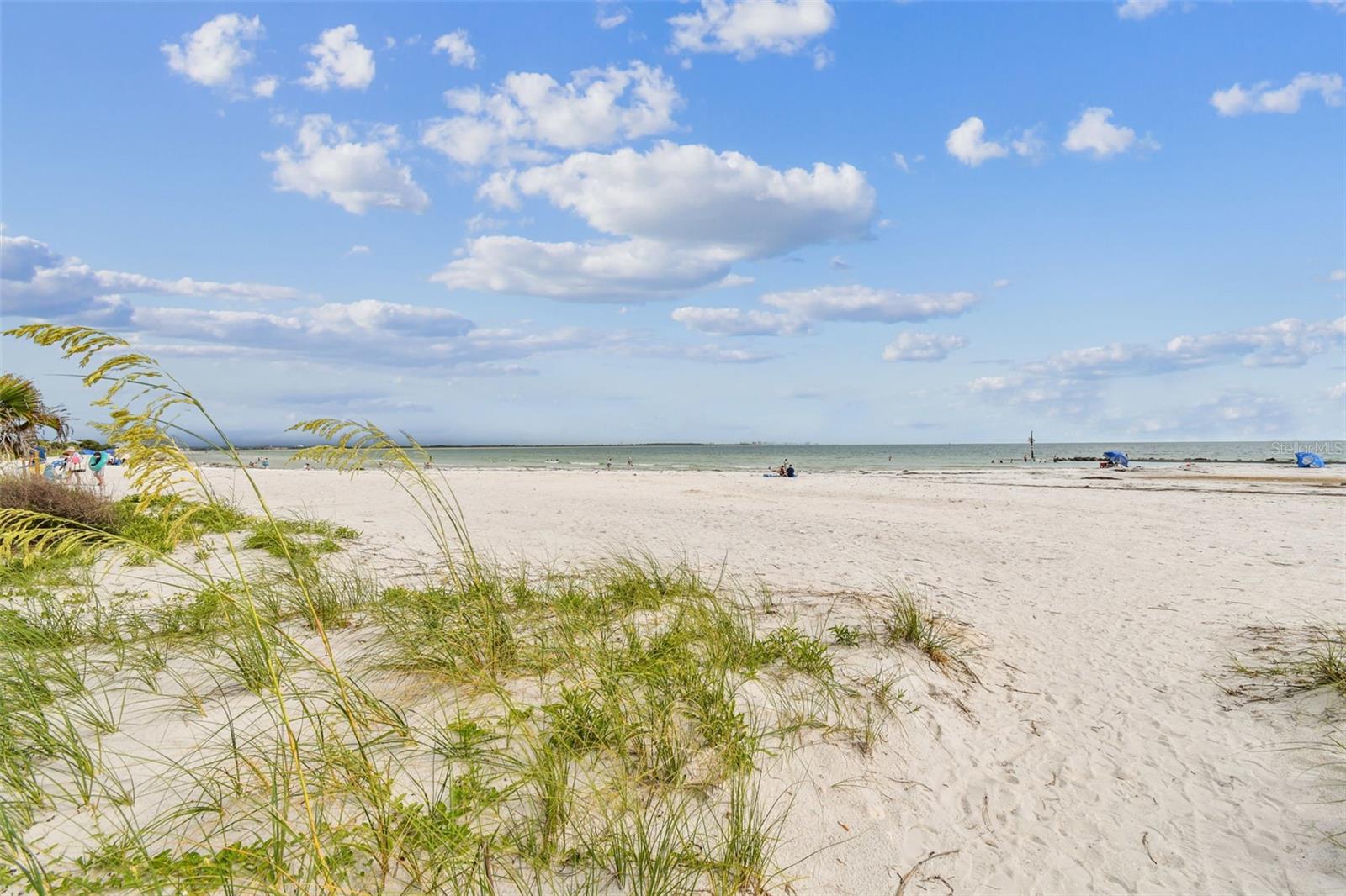 Listing photo id 85 for 121 Augusta Avenue