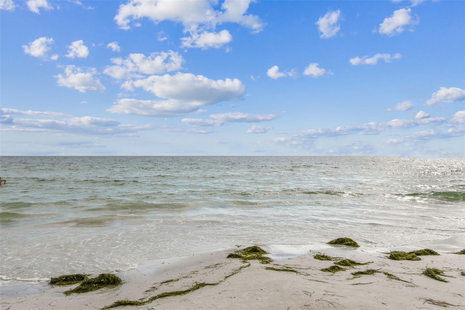 Listing photo id 87 for 121 Augusta Avenue