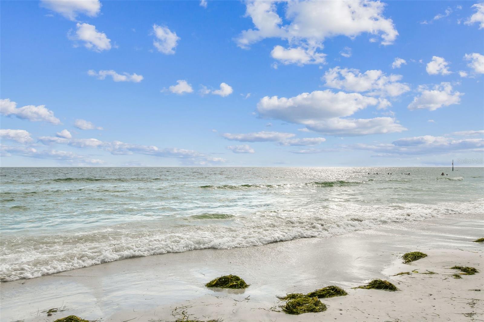 Listing photo id 88 for 121 Augusta Avenue