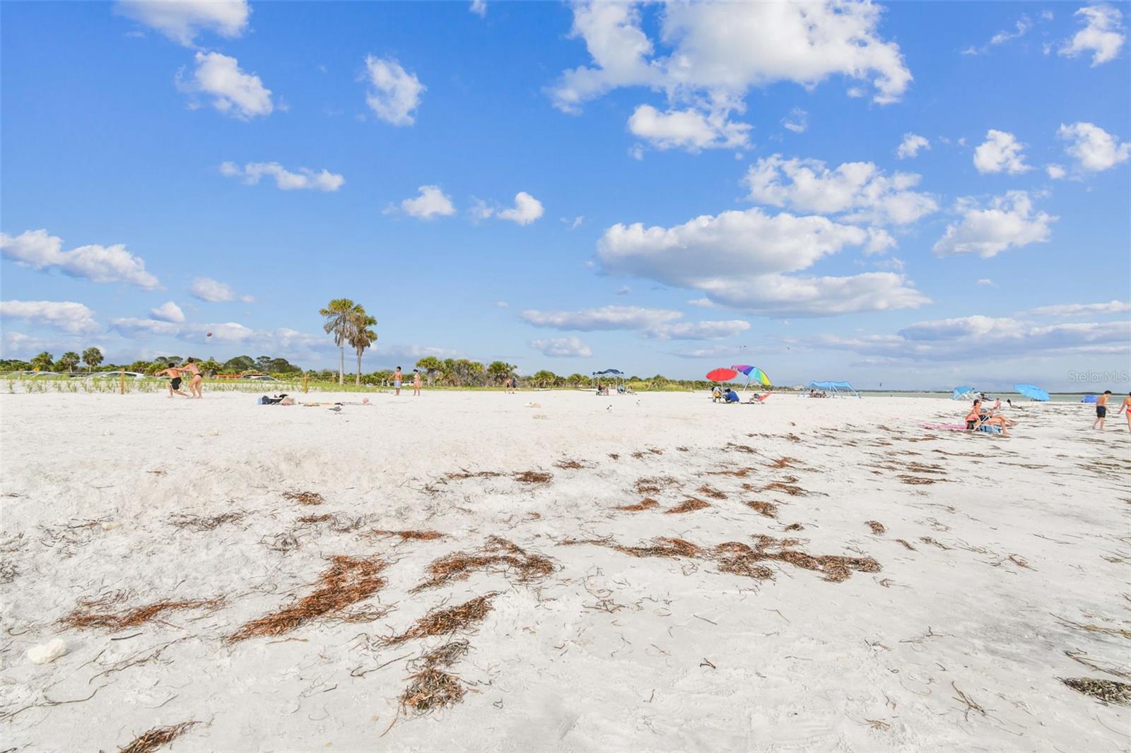 Listing photo id 89 for 121 Augusta Avenue