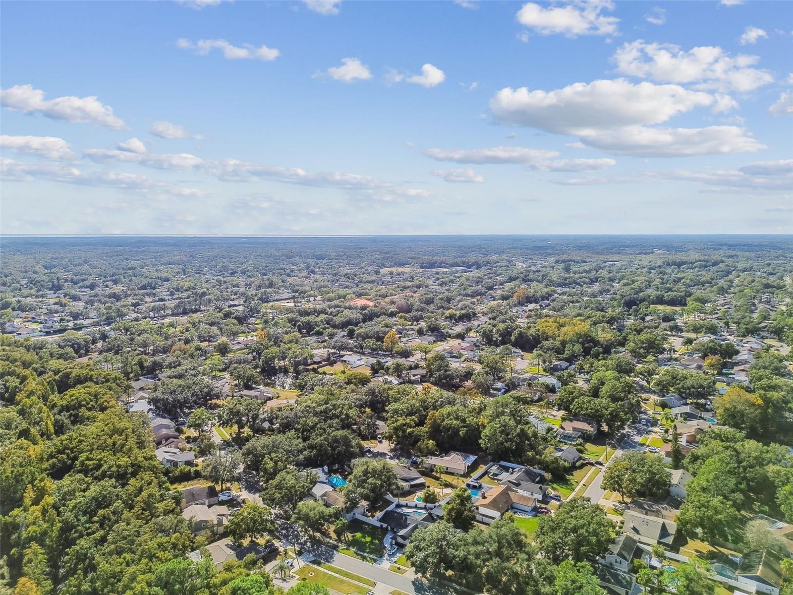 Image 62 of 72 For 4603 Goldbud Lane