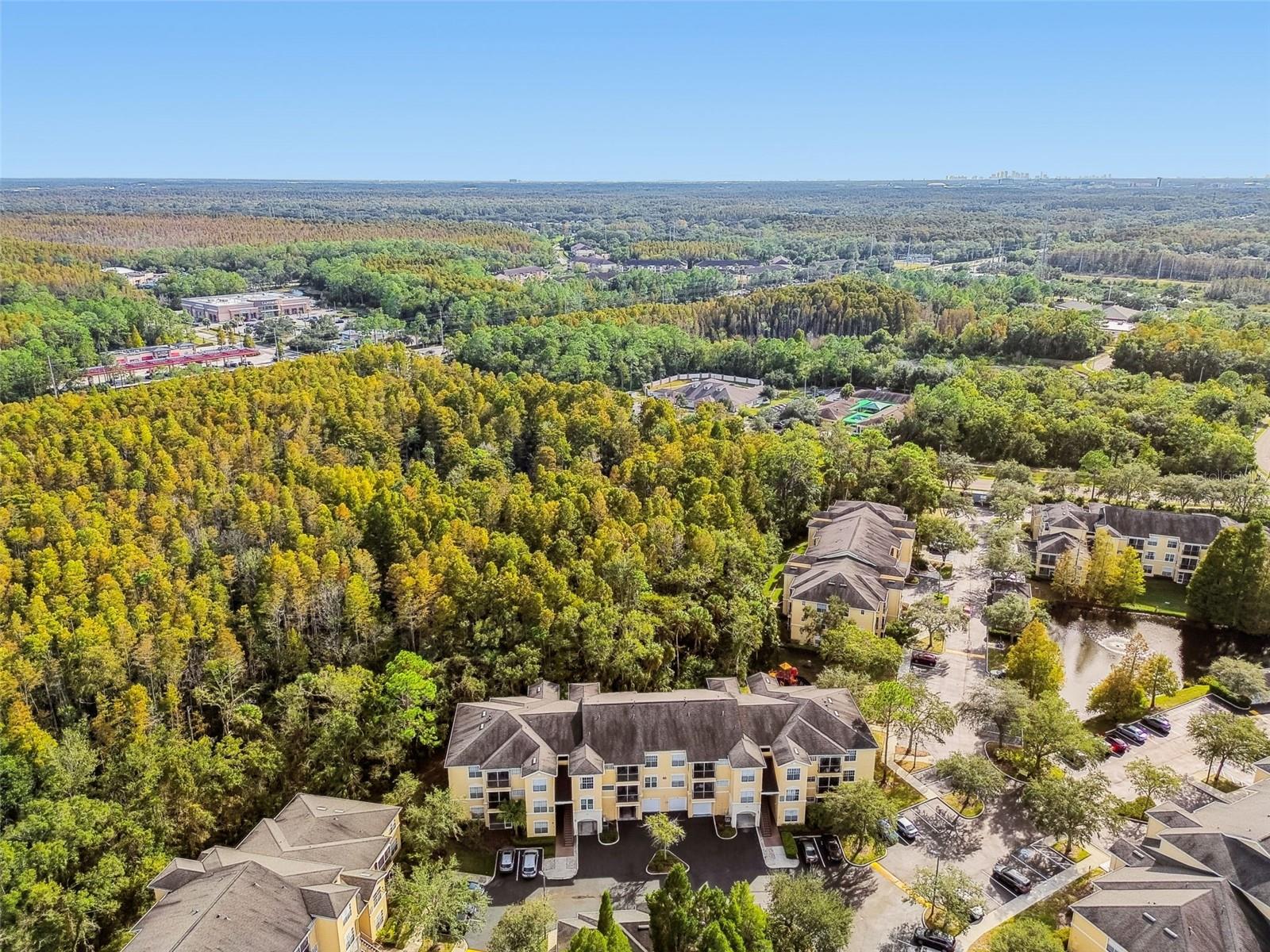 Image 34 of 94 For 5125 Palm Springs Boulevard 3302