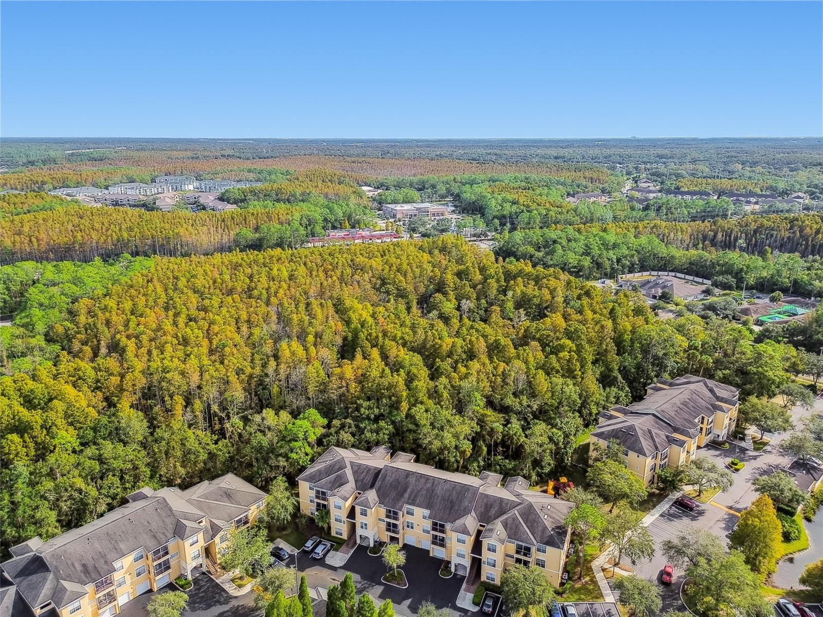 Image 35 of 94 For 5125 Palm Springs Boulevard 3302