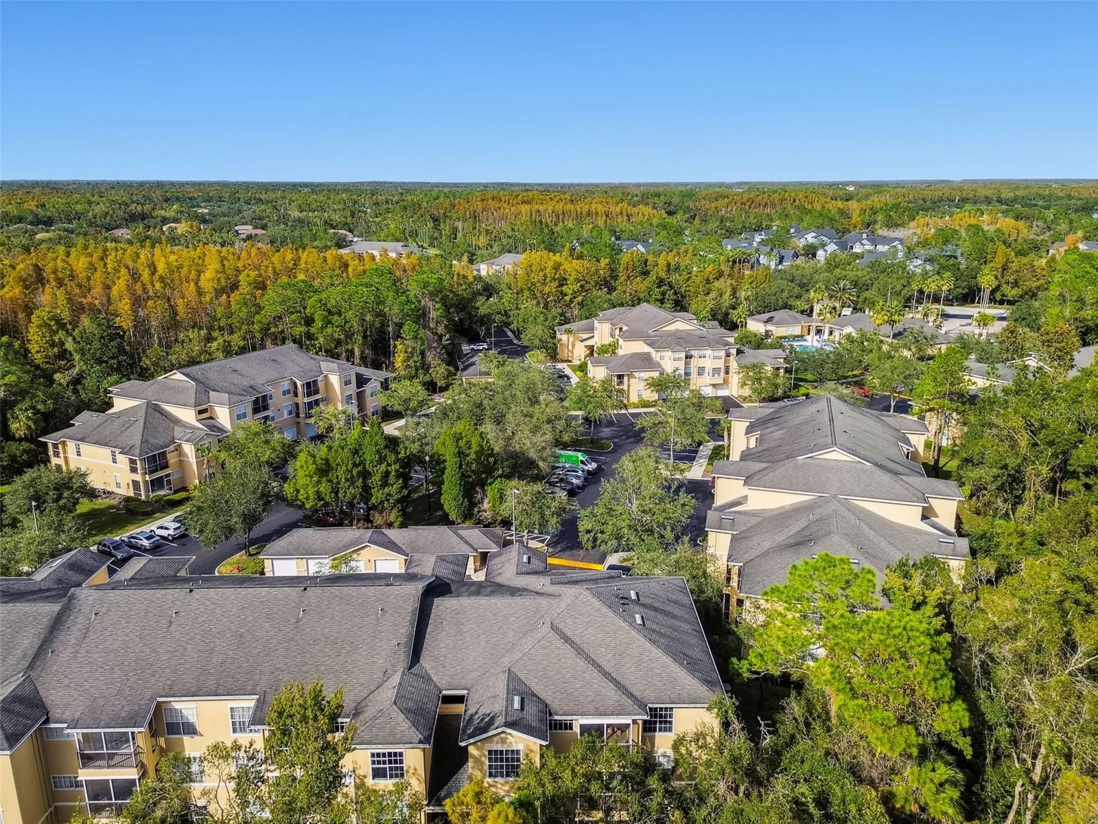 Image 37 of 94 For 5125 Palm Springs Boulevard 3302