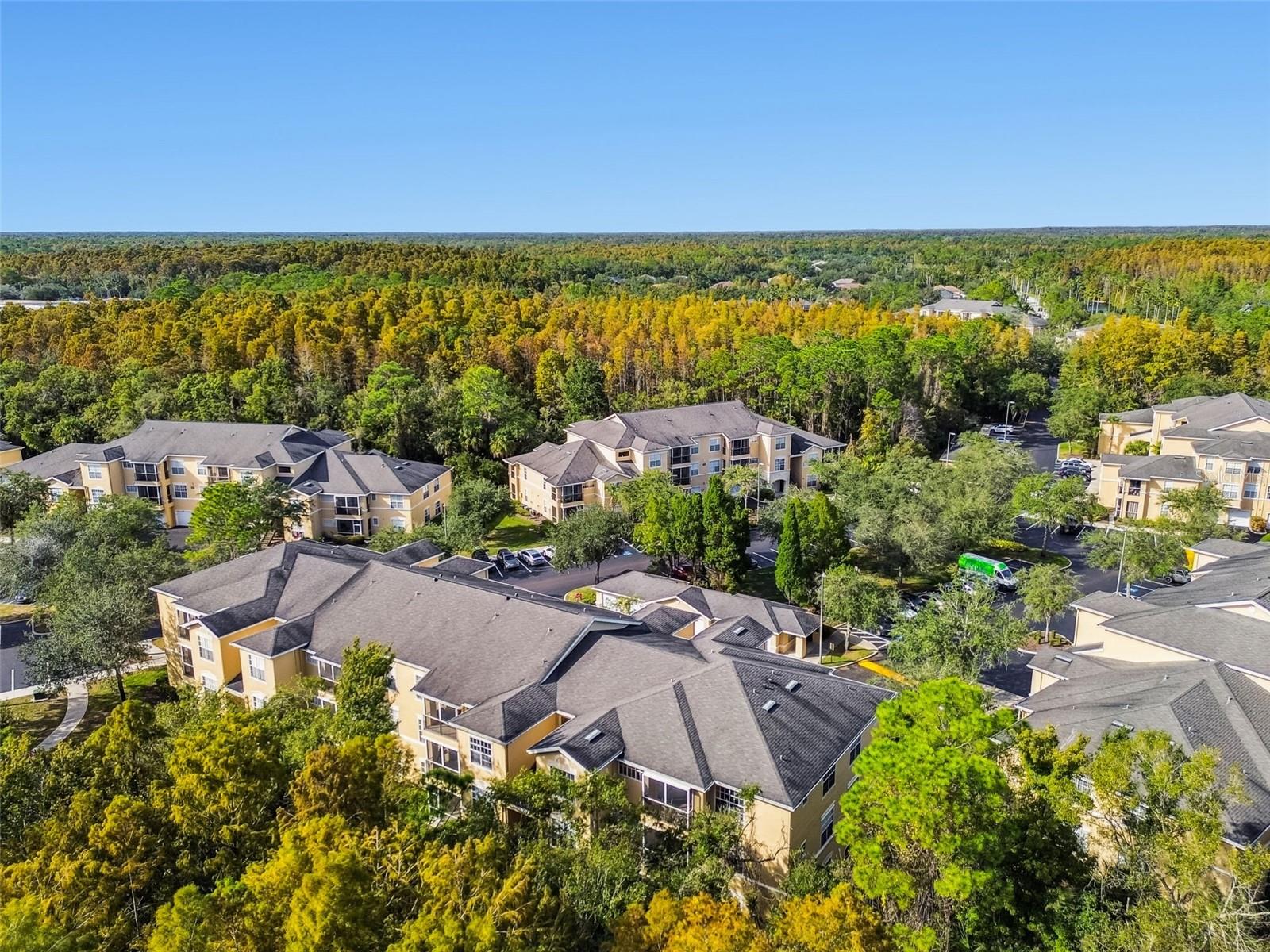 Image 38 of 94 For 5125 Palm Springs Boulevard 3302