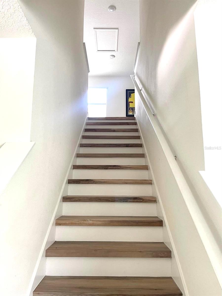 Image 8 of 16 For 2771 Common Fig Run