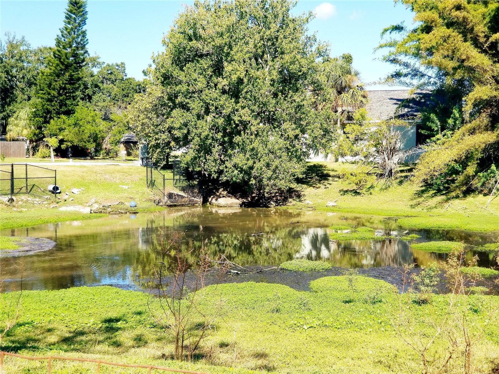 Image 36 of 38 For 5245 Kapok Drive