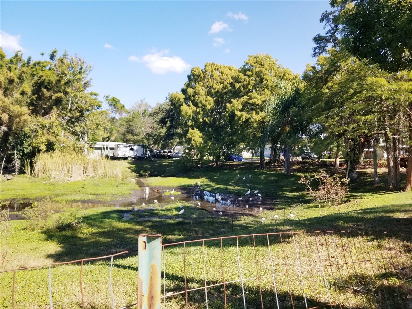 Image 37 of 38 For 5245 Kapok Drive