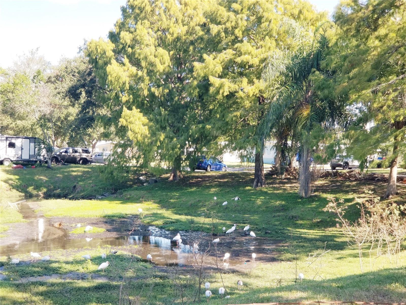 Image 38 of 38 For 5245 Kapok Drive