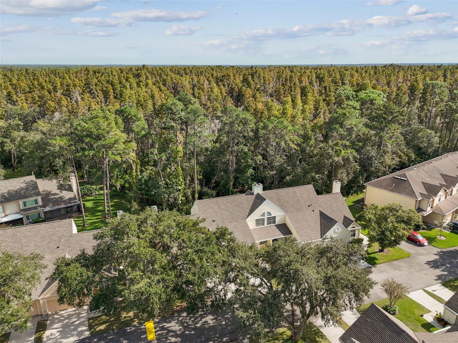 Image 55 of 66 For 3616 Pine Knot Drive 3616