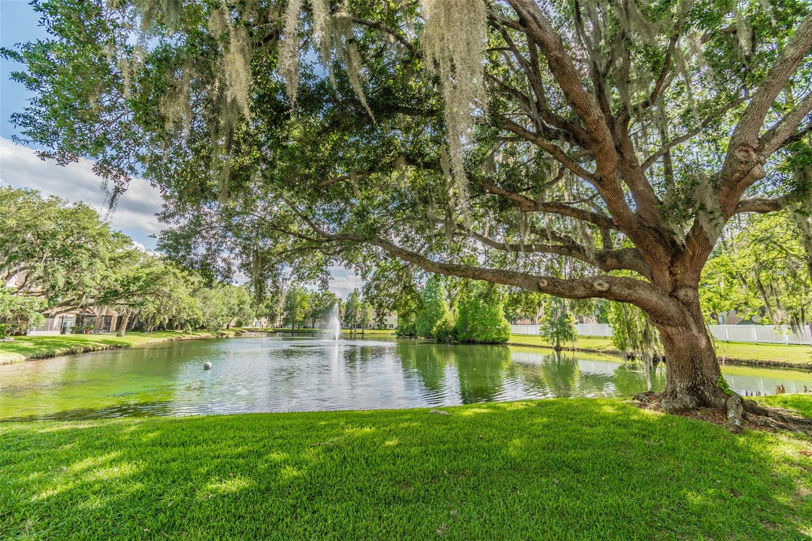 Image 62 of 66 For 3616 Pine Knot Drive 3616