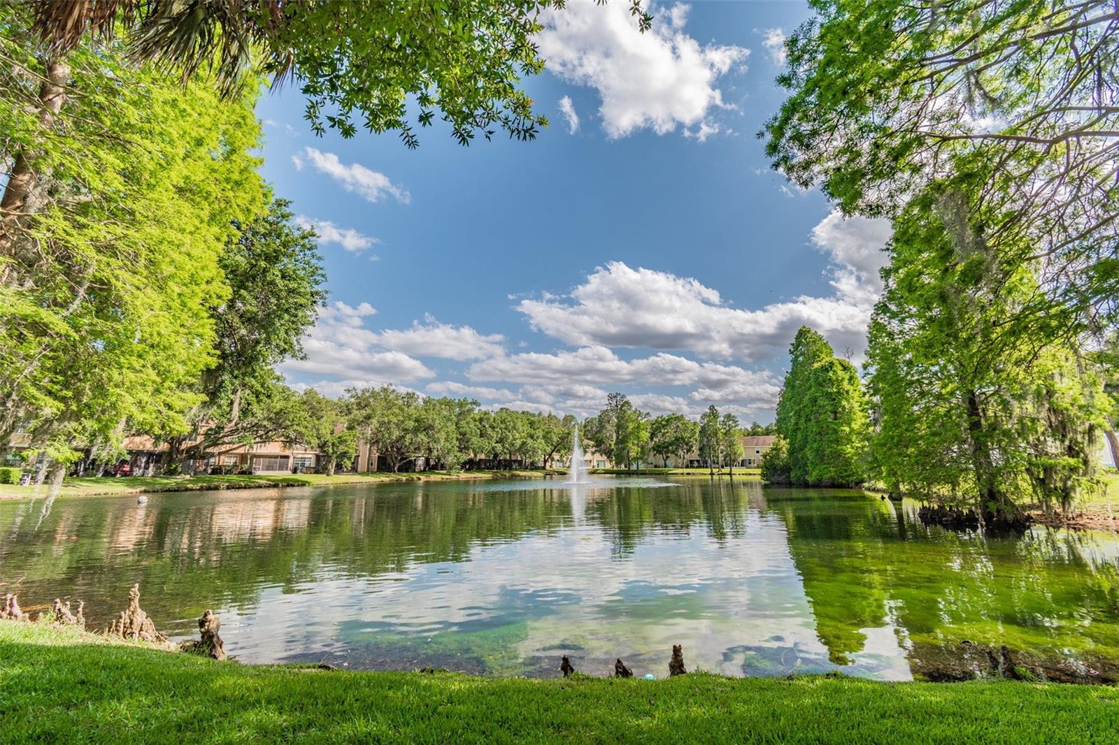 Image 64 of 66 For 3616 Pine Knot Drive 3616