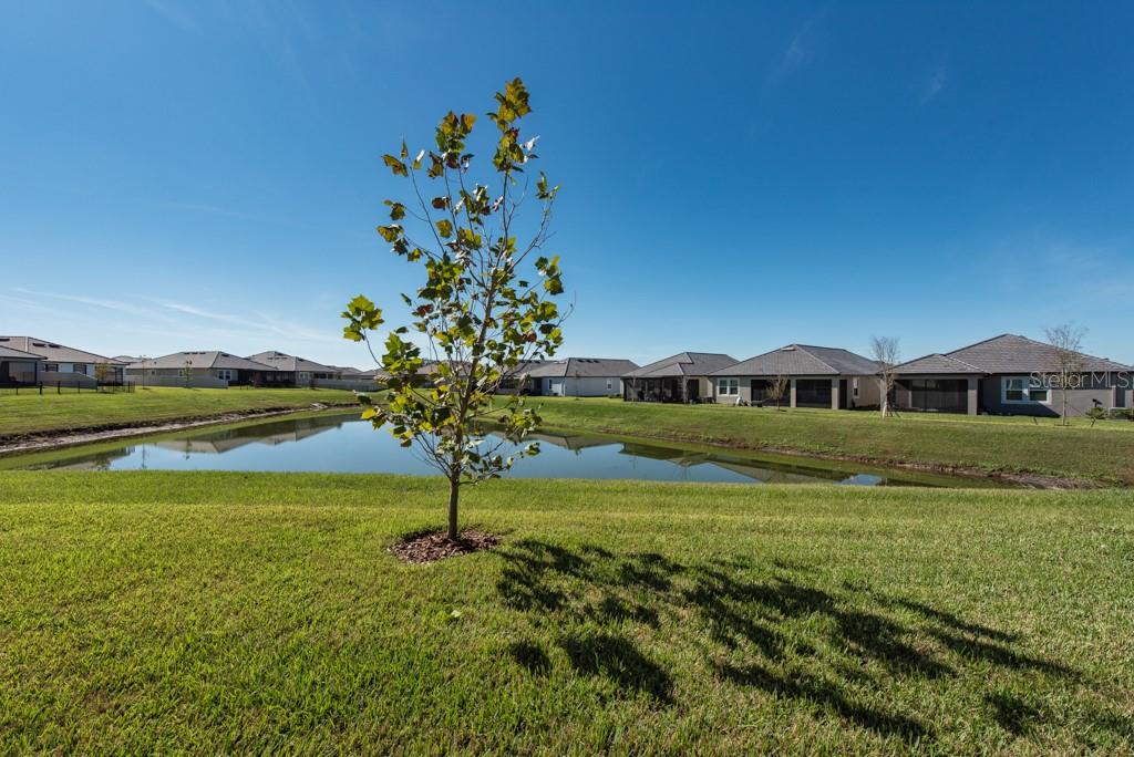 Image 23 of 40 For 10976 Gable Dig Loop