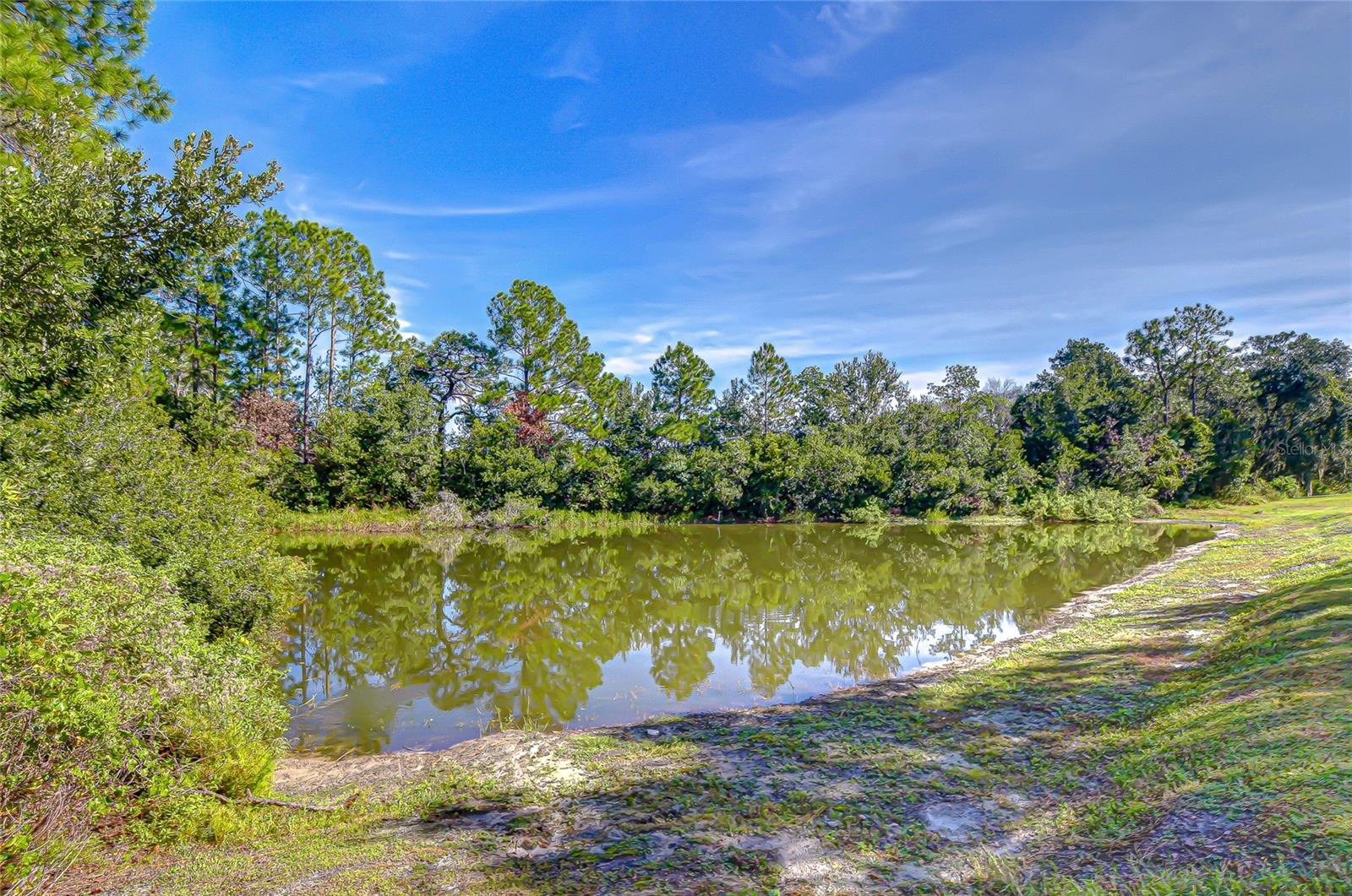 Image 29 of 87 For 4246 Warwick Hills Drive