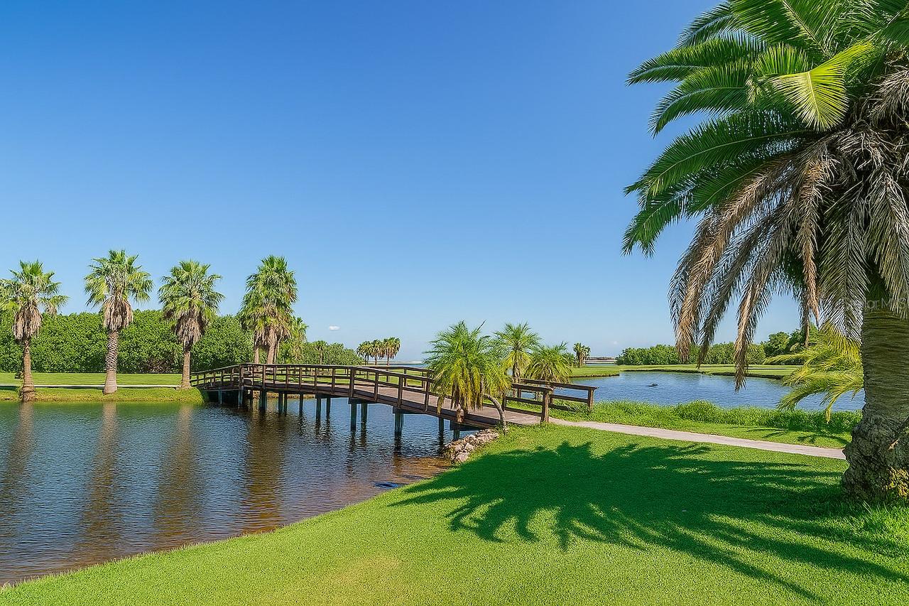 Image 66 of 70 For 2615 Cove Cay Drive 409