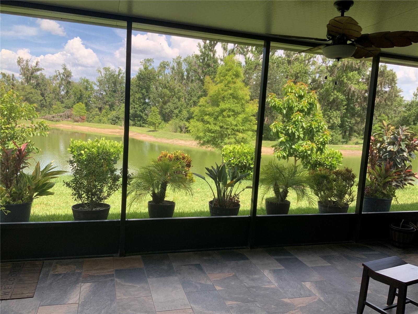 Image 2 of 11 For 7128 Steer Blade Drive