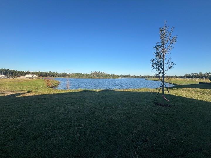 Image 36 of 37 For 414 Junonia Blvs