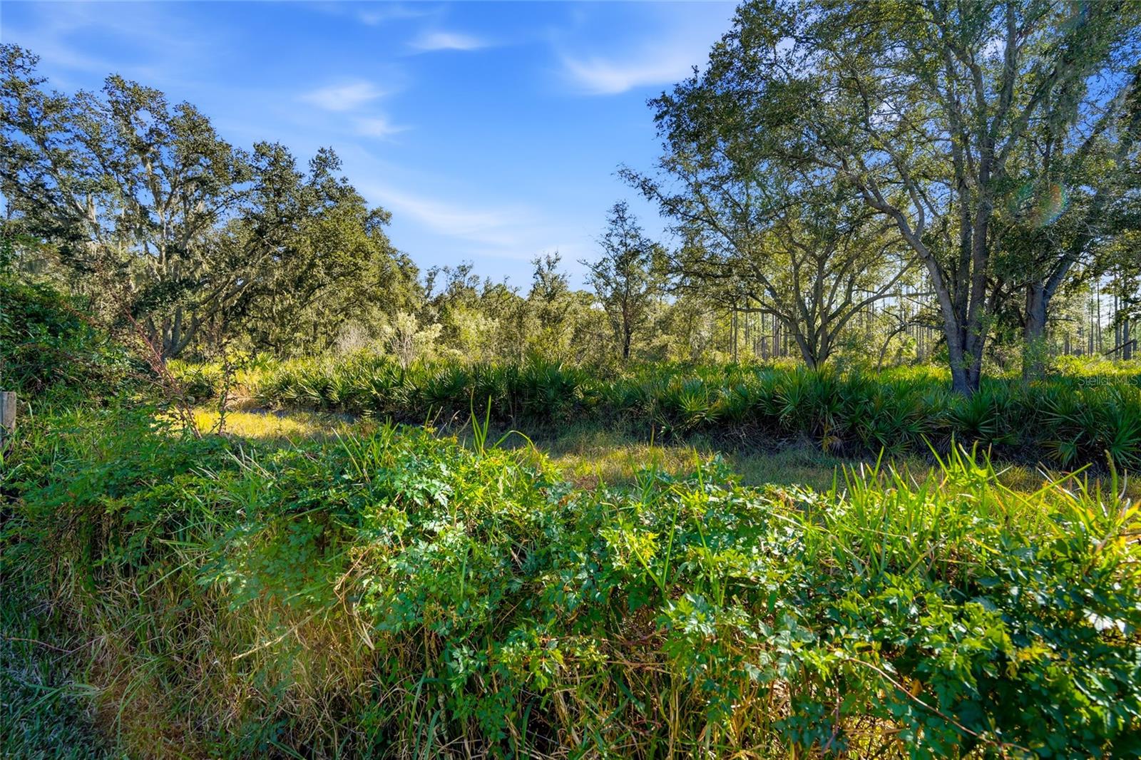 Listing photo id 56 for 10526 Cory Lake Drive