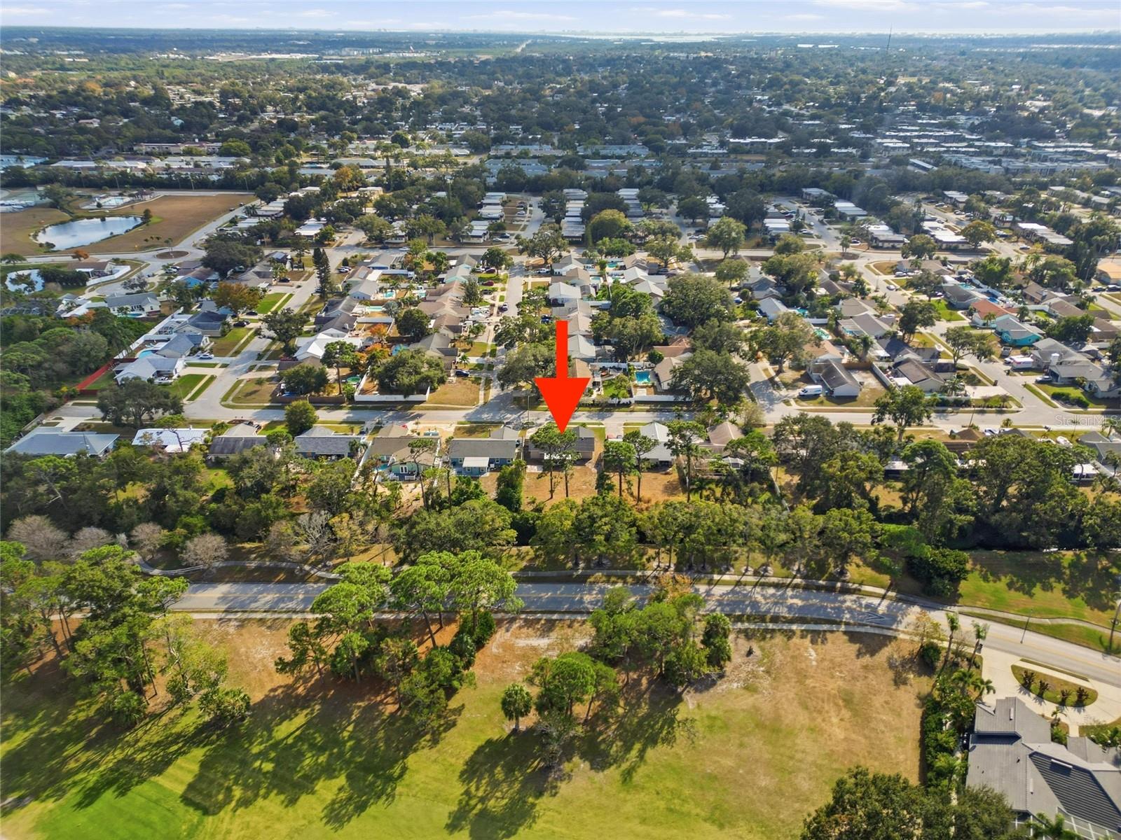 Listing photo id 35 for 8433 101st Avenue