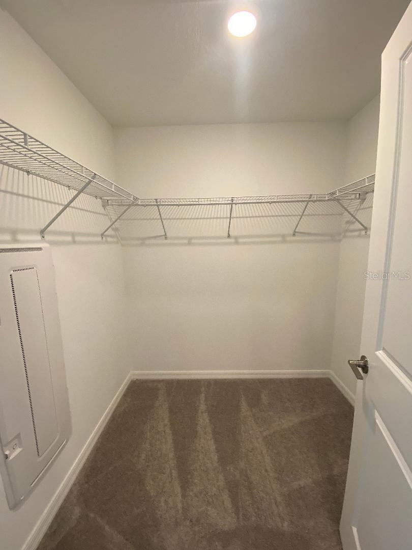 Image 10 of 13 For 32101 Powderpuff Mimosa Drive