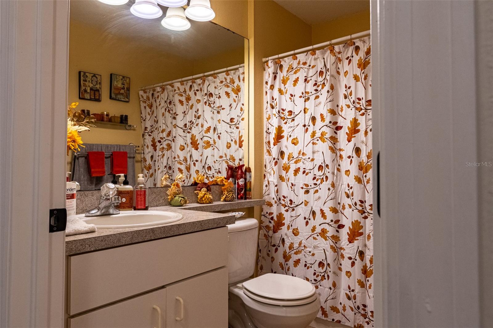 Image 12 of 41 For 8521 Quarter Horse Drive