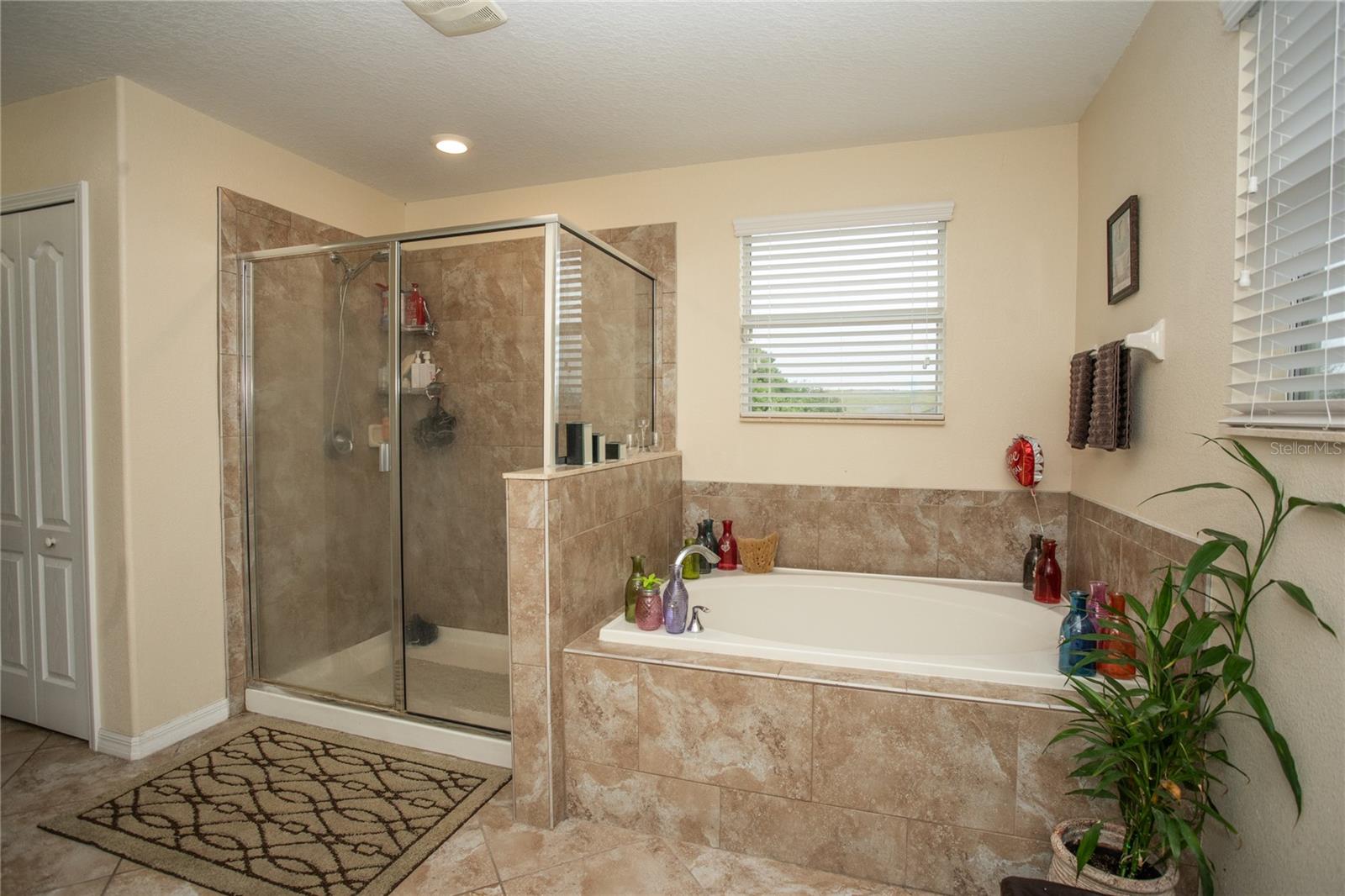 Image 22 of 47 For 10924 Rainbow Pyrite Drive