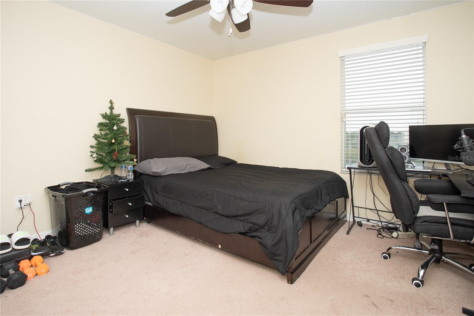 Image 29 of 47 For 10924 Rainbow Pyrite Drive