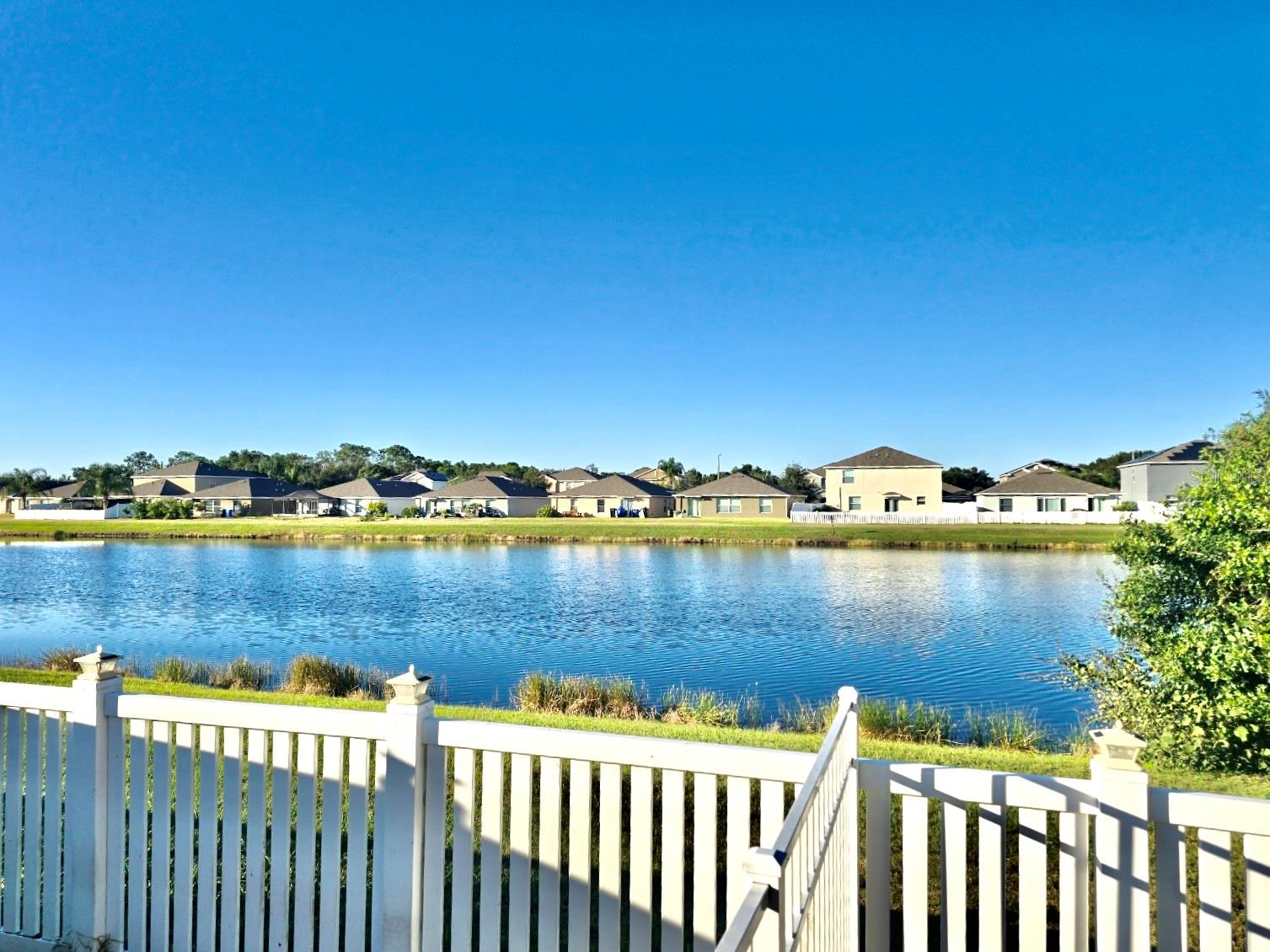 Image 46 of 47 For 10924 Rainbow Pyrite Drive