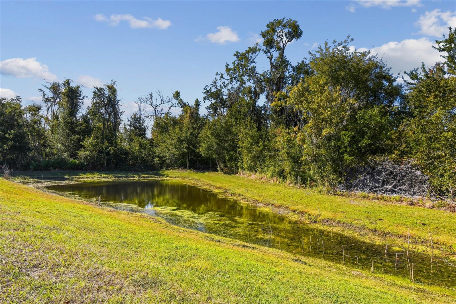 Image 56 of 74 For 12907 Conquistador Loop