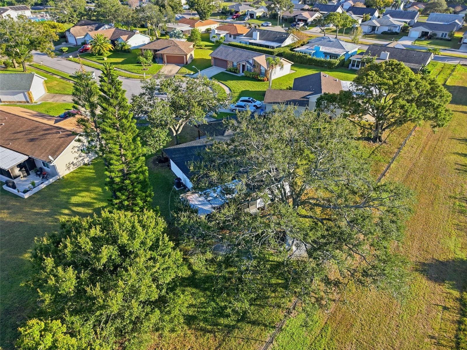 Image 34 of 38 For 3973 107th Avenue N