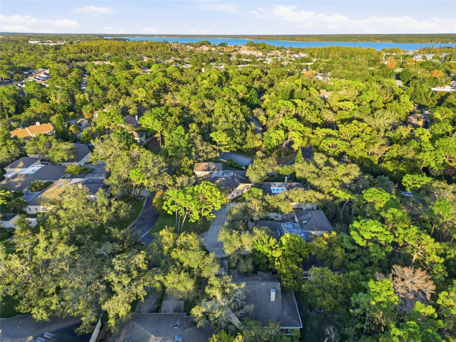 Image 33 of 36 For 2170 Oak Forest Lane