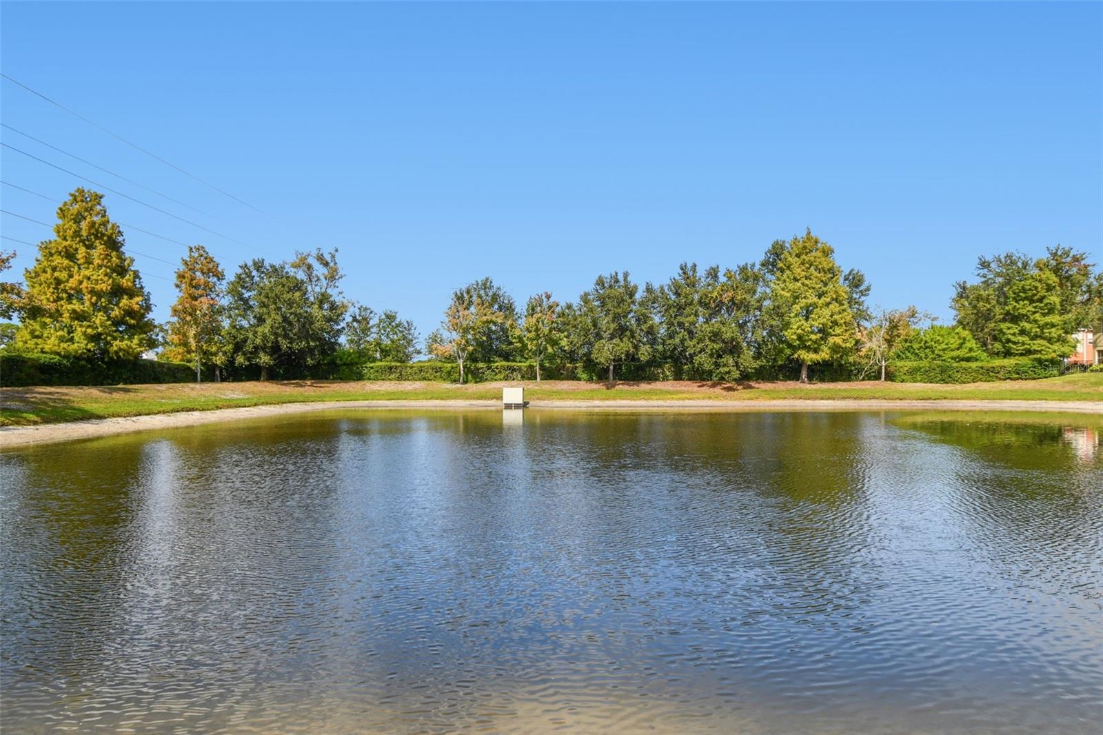 Image 70 of 84 For 2520 Colony Reed Lane