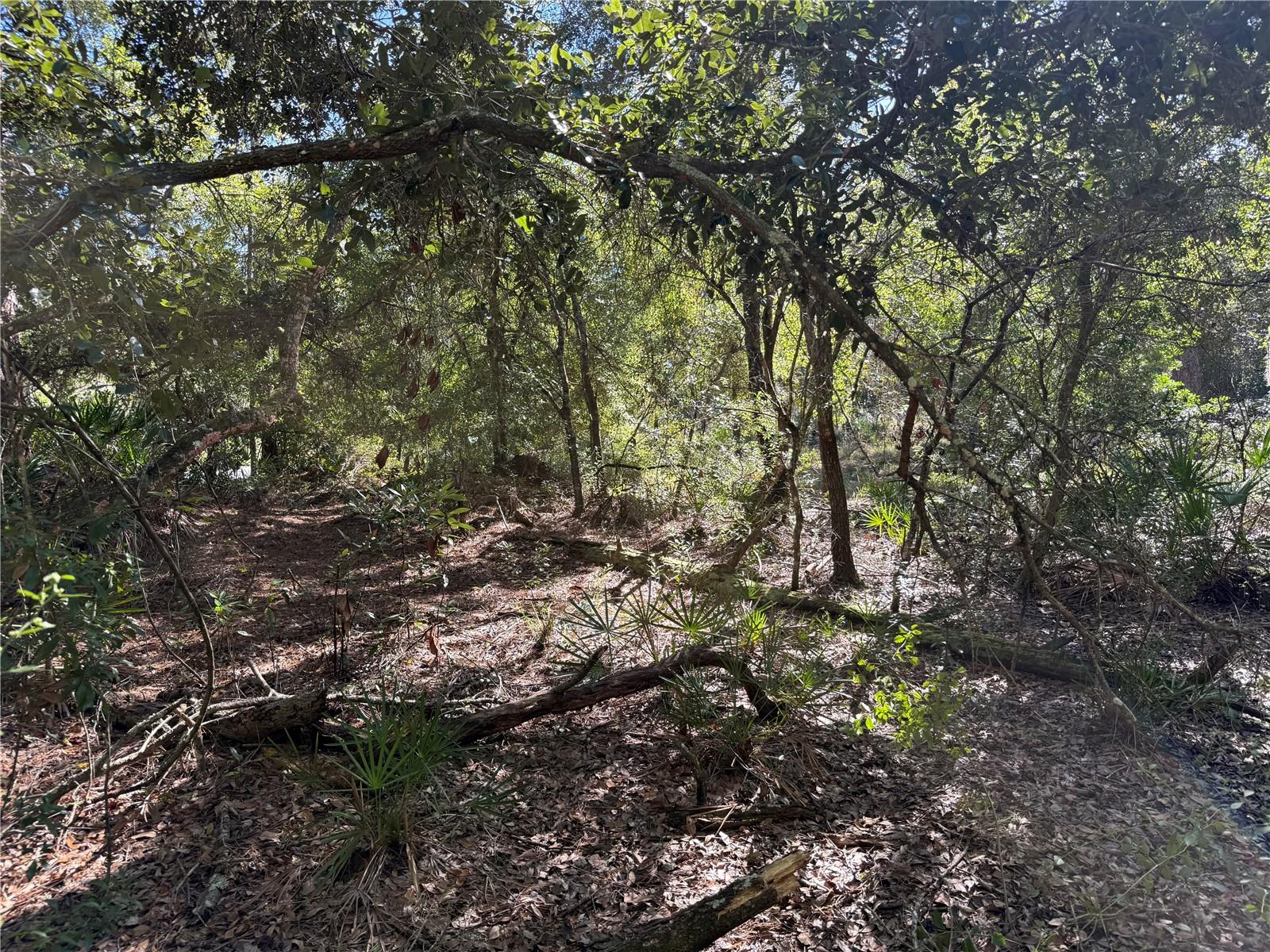 Listing photo id 0 for 27975 Robin Roost Lane