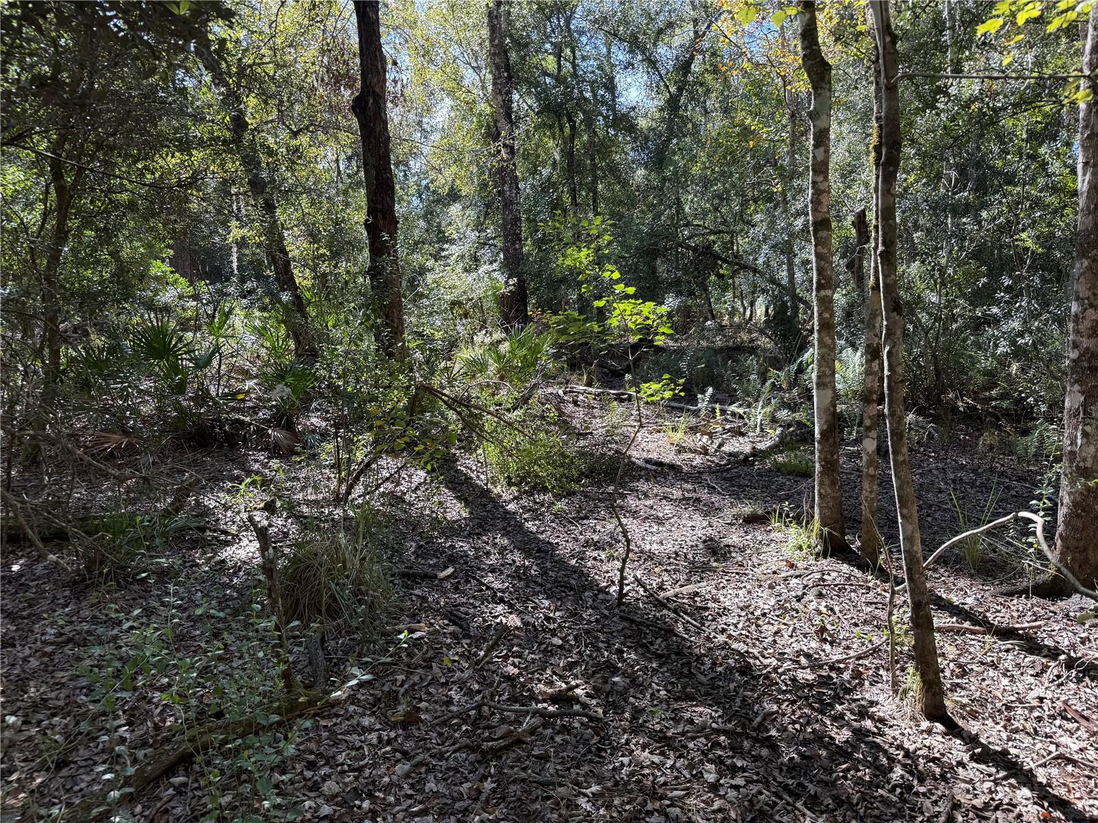 Listing photo id 1 for 27975 Robin Roost Lane