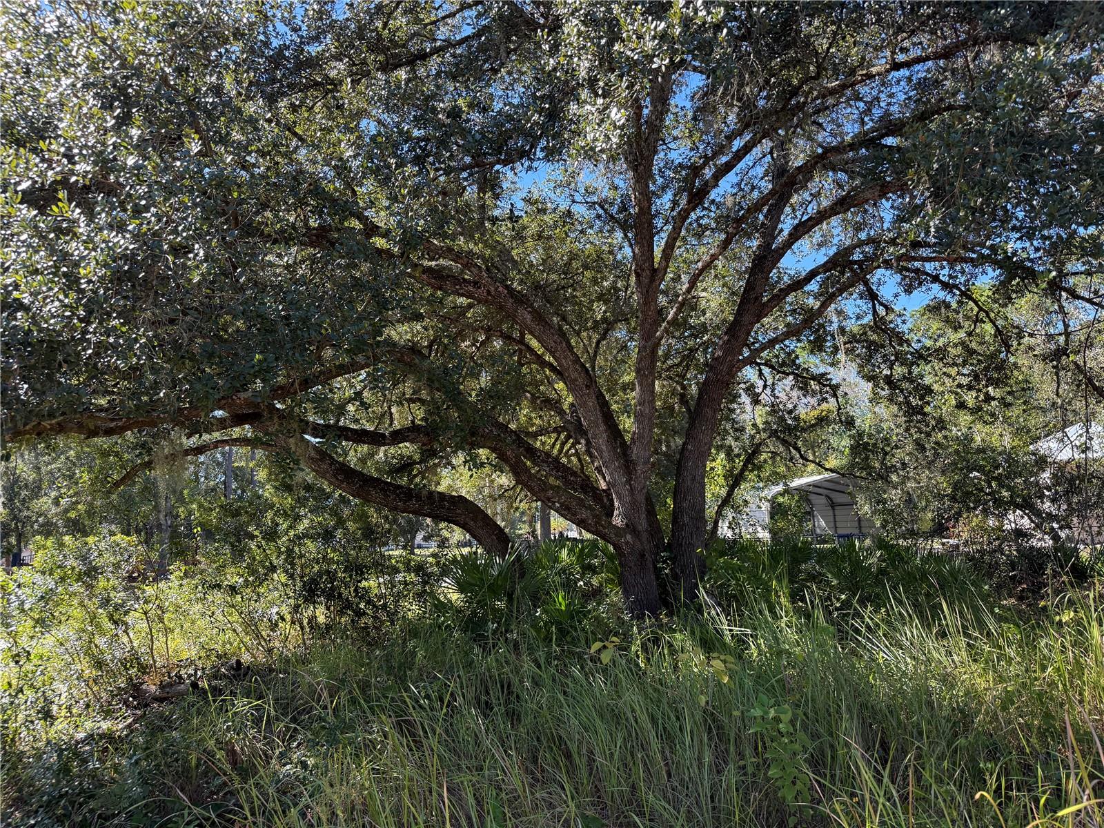 Listing photo id 2 for 27975 Robin Roost Lane