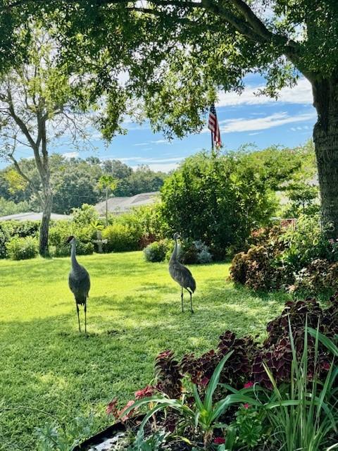 Image 20 of 20 For 108 Lake Sears Drive