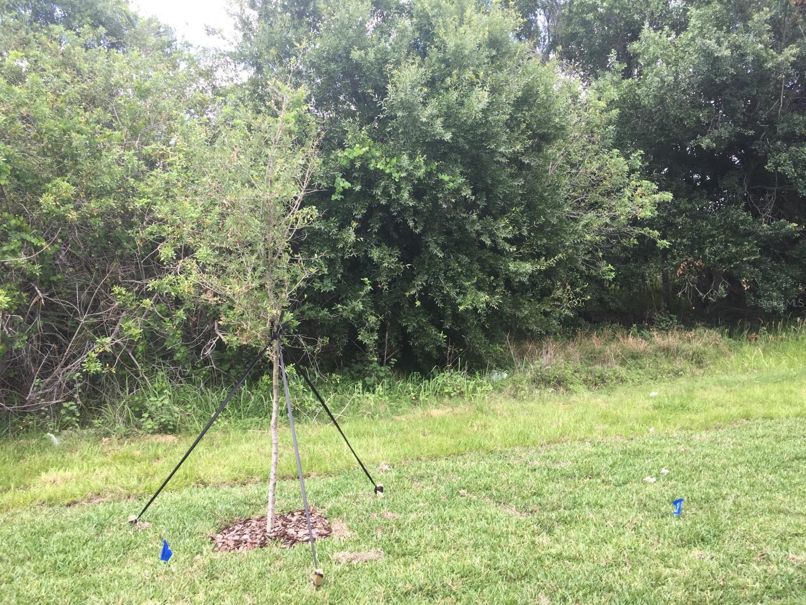 Image 31 of 32 For 9618 Pembrooke Pines Drive