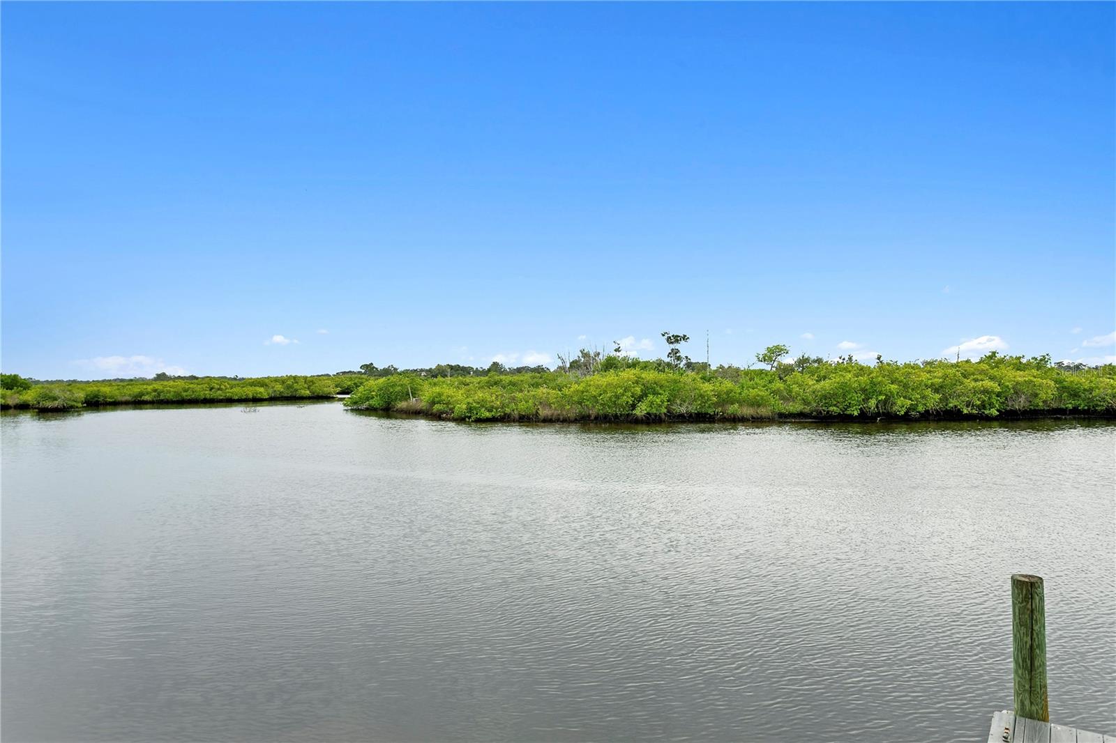 Image 36 of 40 For 1079 Sawgrass Drive