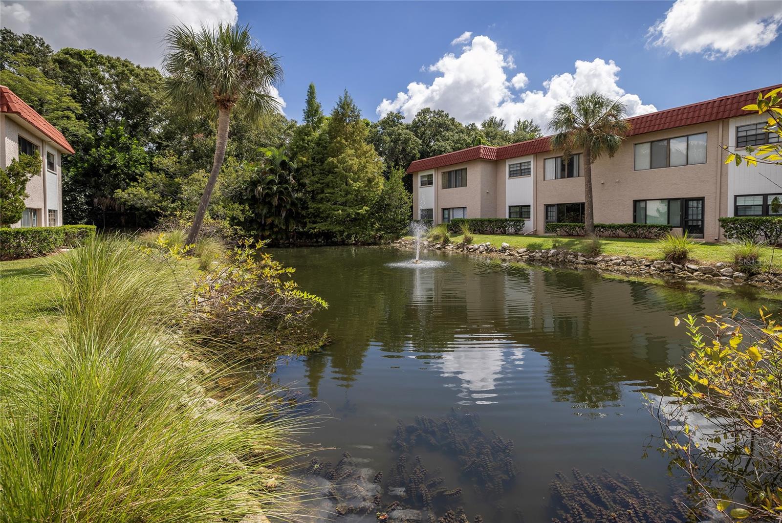 Image 18 of 32 For 1753 Belleair Forest Drive D3