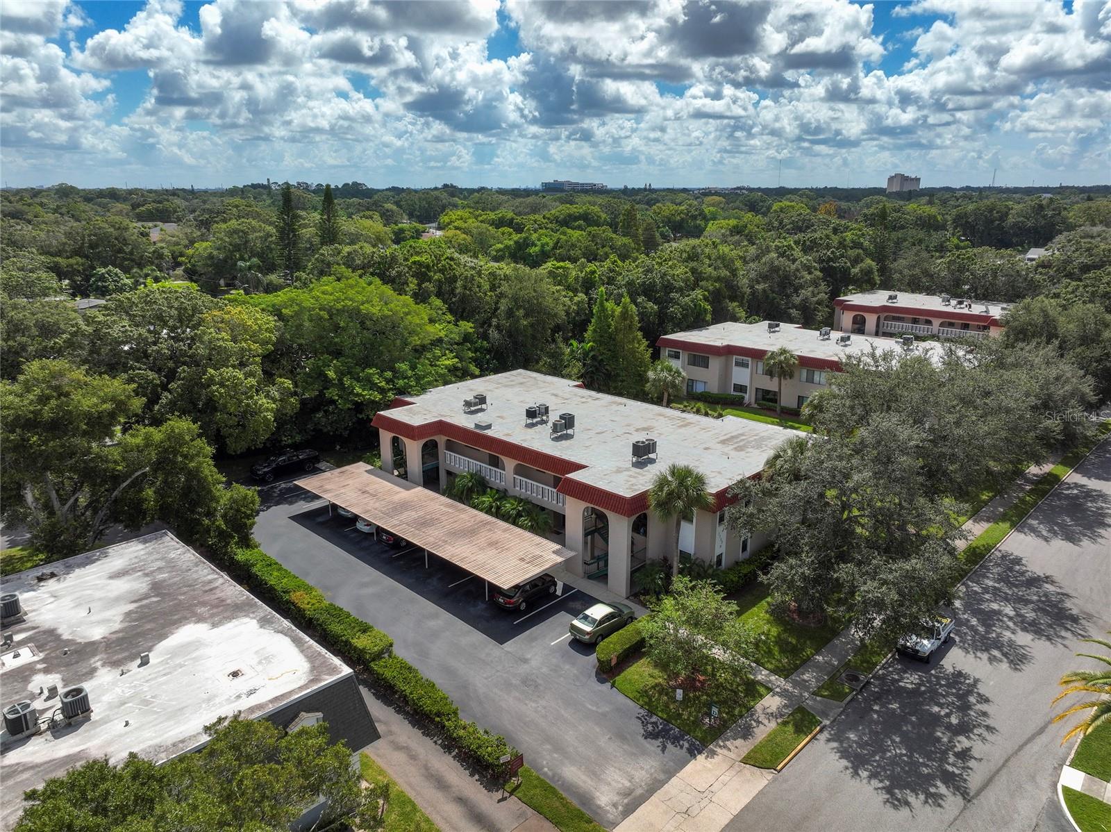 Image 29 of 32 For 1753 Belleair Forest Drive D3