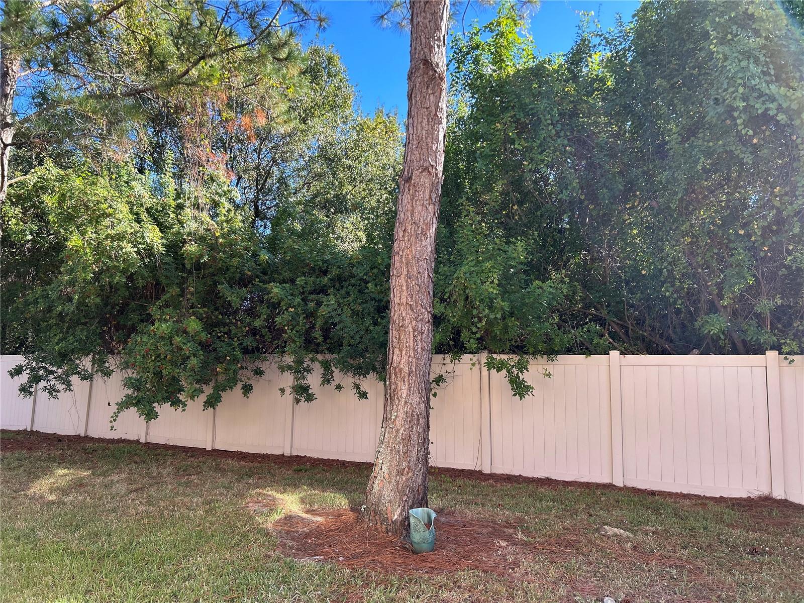 Image 41 of 49 For 13114 Logan Captiva Lane