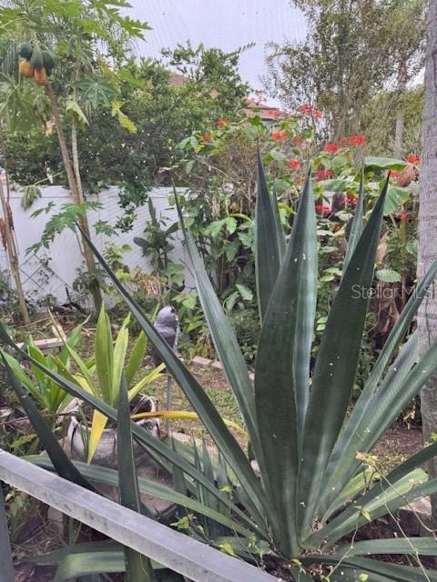 Listing photo id 33 for 1509 Wildfowl Place C