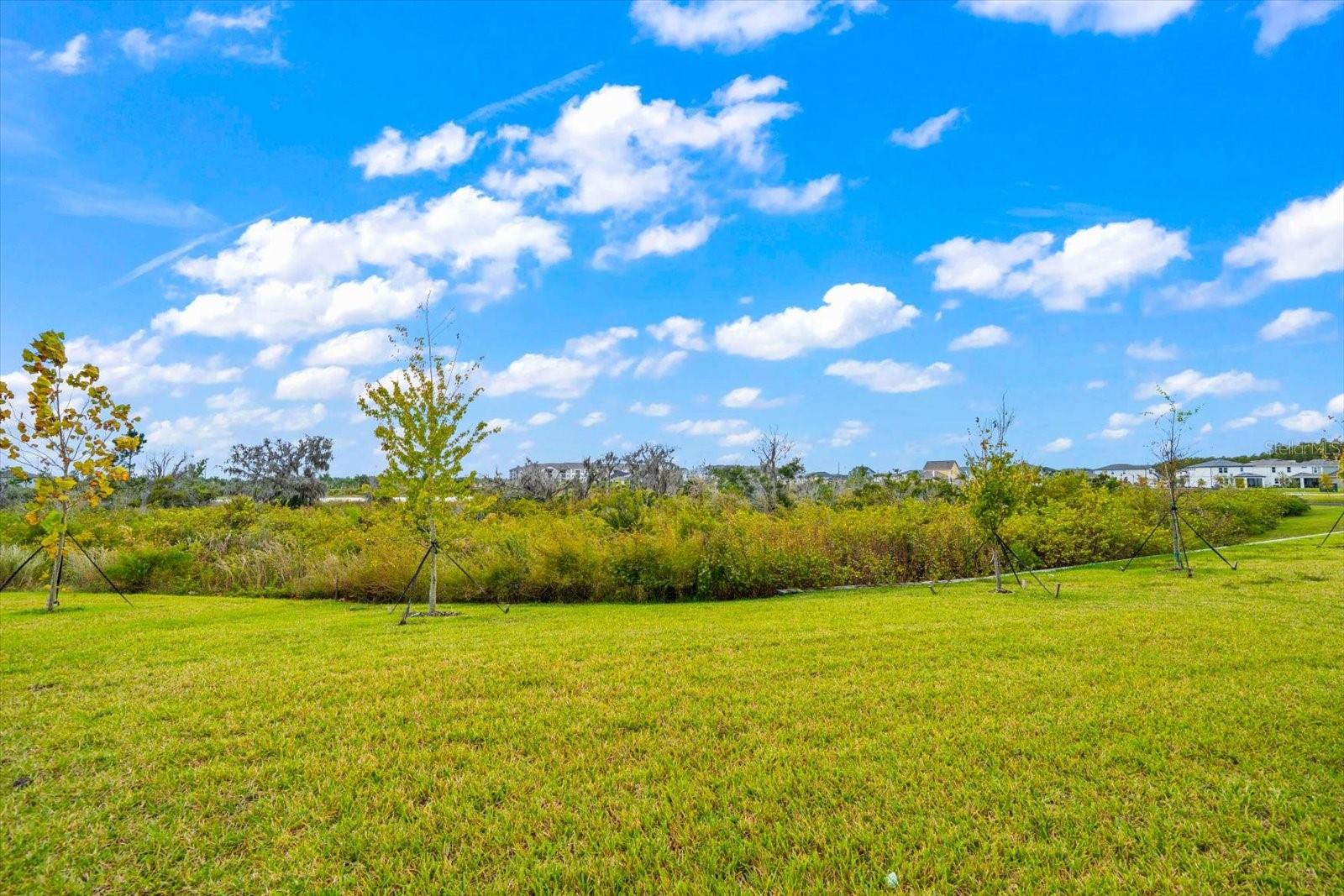 Listing photo id 13 for 5707 Maydale Avenue